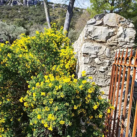 別荘 La Bergerie De Corconne
